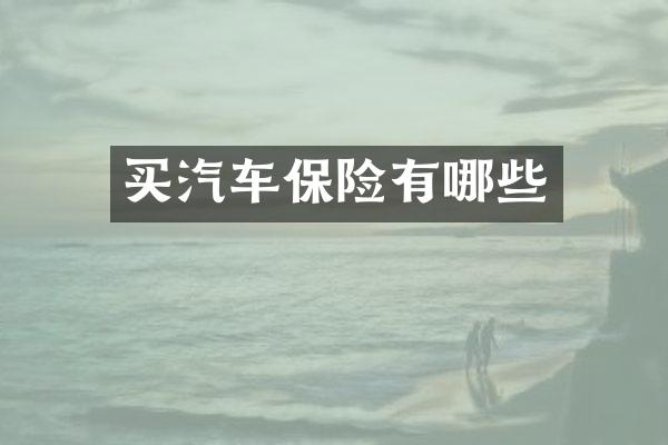 买汽车保险有哪些