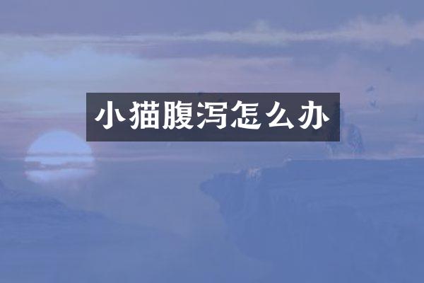 小猫腹泻怎么办