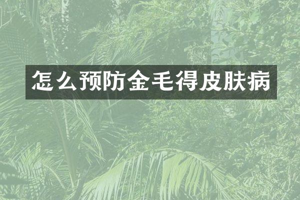 怎么预防金毛得皮肤病