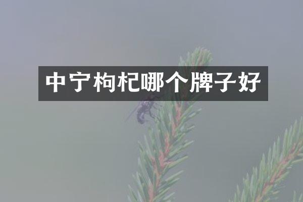 中宁枸杞哪个牌子好