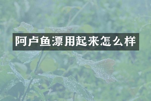 阿卢鱼漂用起来怎么样