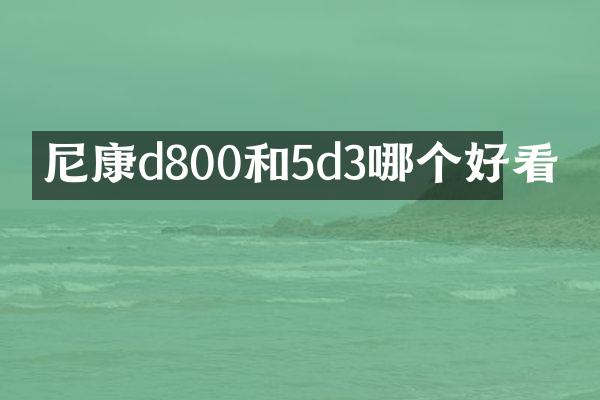尼康d800和5d3哪个好看