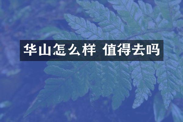 华山怎么样 值得去吗