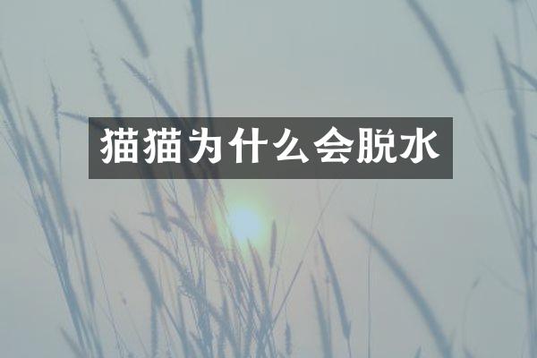 猫猫为什么会脱水