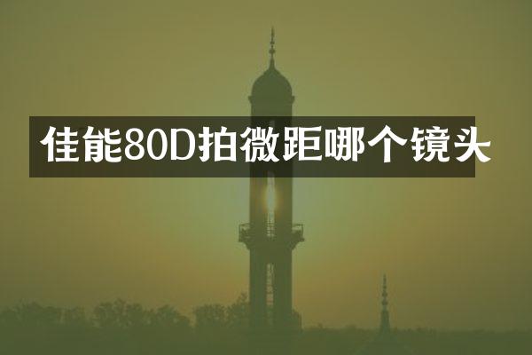 佳能80D拍微距哪个镜头