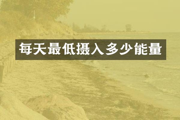 每天最低摄入多少能量
