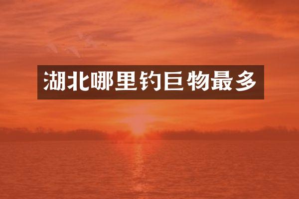 湖北哪里钓巨物最多