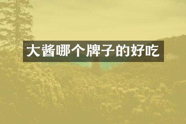 大酱哪个牌子的好吃