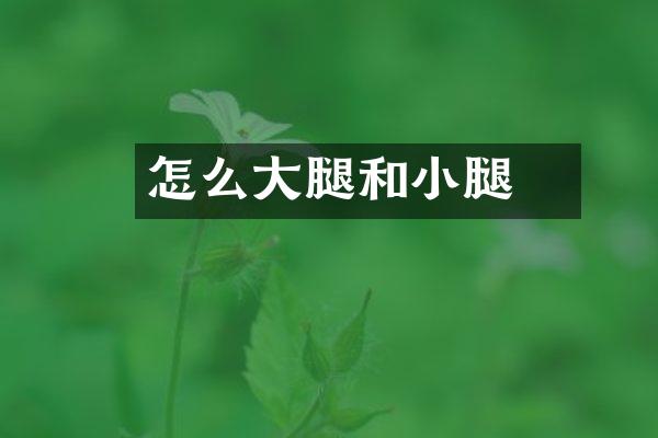 怎么廲大腿和小腿
