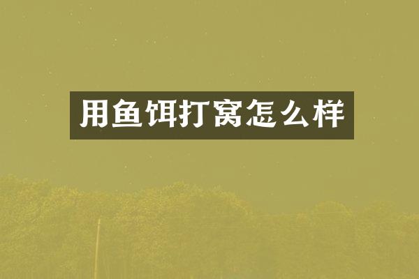 用鱼饵打窝怎么样