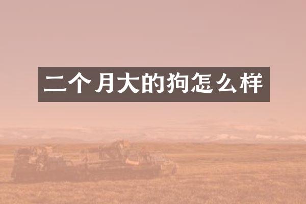 二个月大的狗怎么样