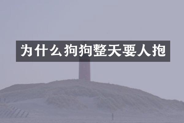 为什么狗狗整天要人抱