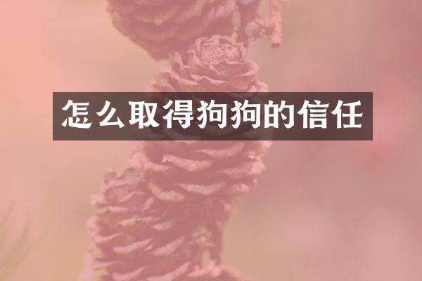怎么取得狗狗的信任