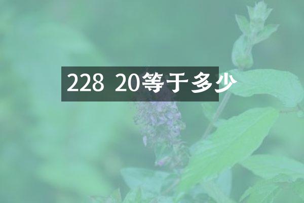 228 20等于多少