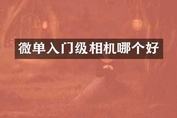 微单入门级相机哪个好