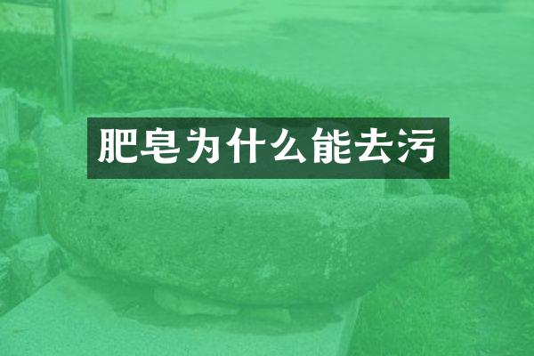 肥皂为什么能去污