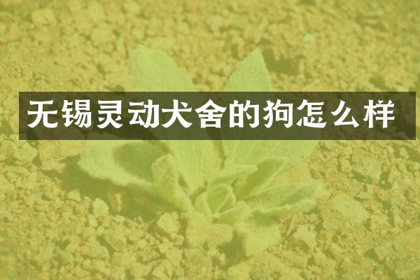无锡灵动犬舍的狗怎么样