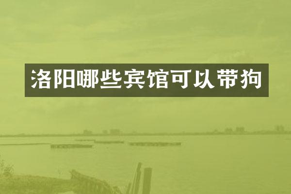 洛阳哪些宾馆可以带狗