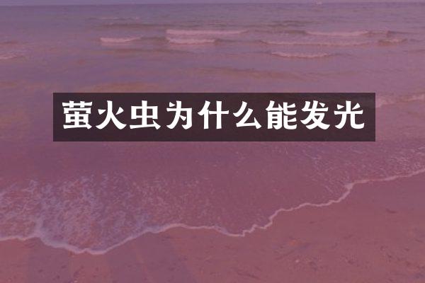 萤火虫为什么能发光