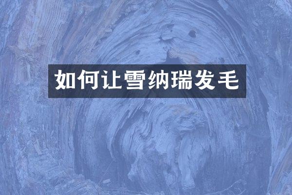 如何让雪纳瑞发毛