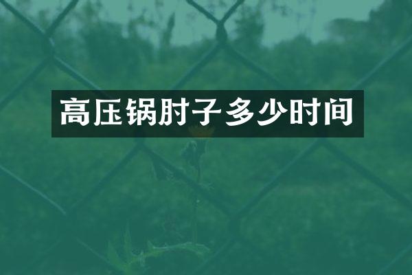 高压锅肘子多少时间