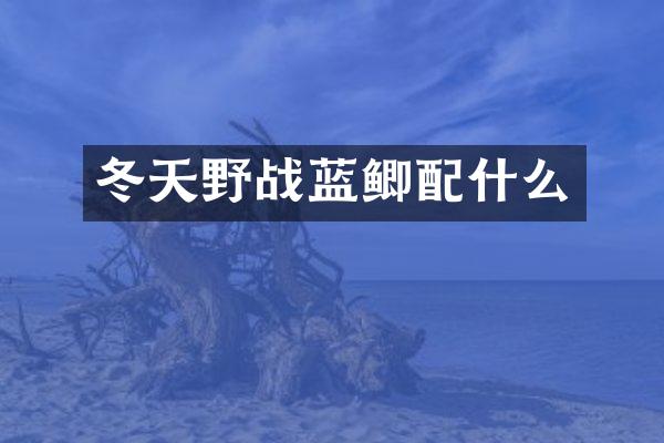 冬天野战蓝鲫