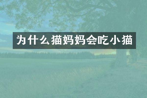 为什么猫妈妈会吃小猫