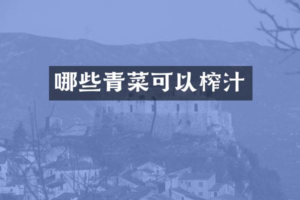 哪些青菜可以榨汁