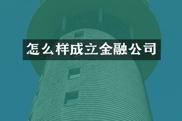 怎么样成立金融公司