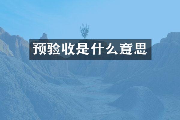 预验收是什么意思