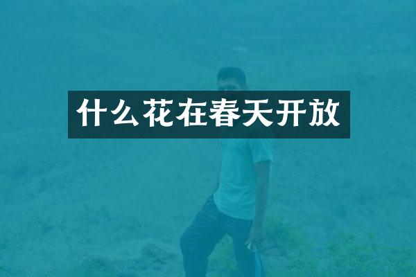 什么花在春天开放