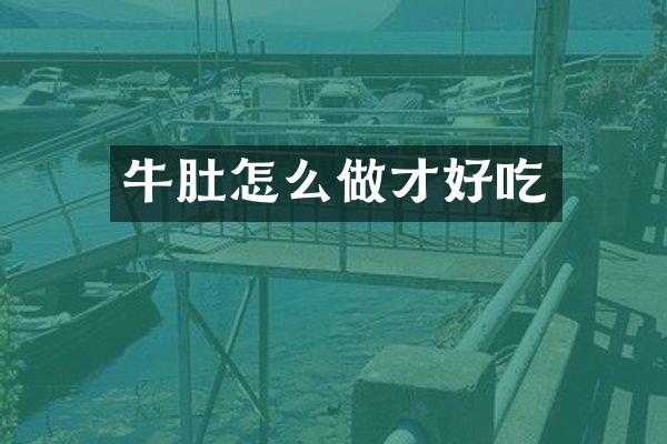牛肚怎么做才好吃