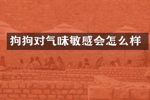 狗狗对气味敏感会怎么样