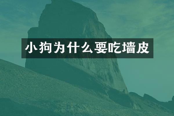 小狗为什么要吃墙皮