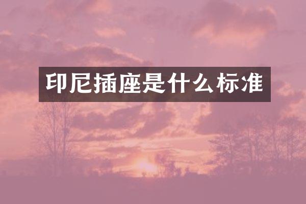 印尼插座是什么标准