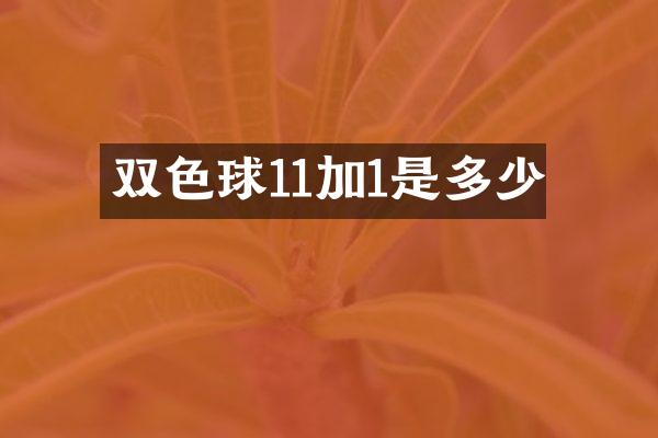 双色球11加1是多少