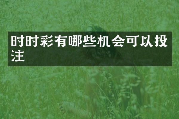 时时彩有哪些机会可以投注