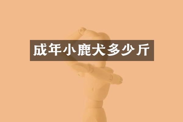 成年小鹿犬多少斤