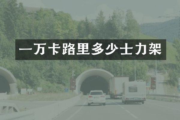 一万卡路里多少士力架