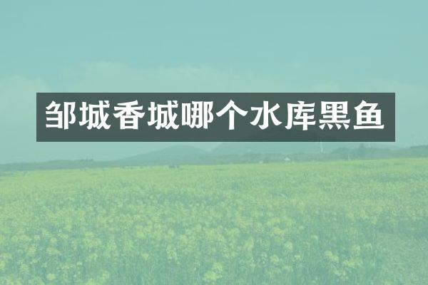 邹城香城哪个水库黑鱼