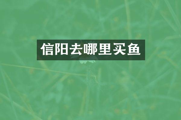 信阳去哪里买鱼