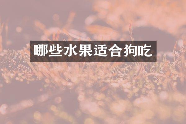 哪些水果适合狗吃