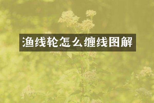 渔线轮怎么缠线图解