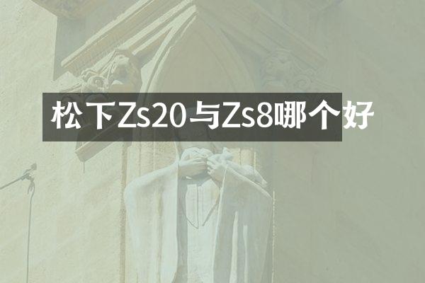 松下Zs20与Zs8哪个好