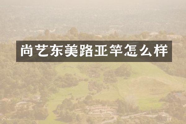 尚艺东美路亚竿怎么样