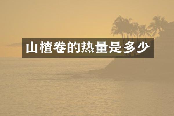 山楂卷的热量是多少