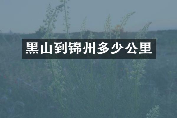 黑山到锦州多少公里