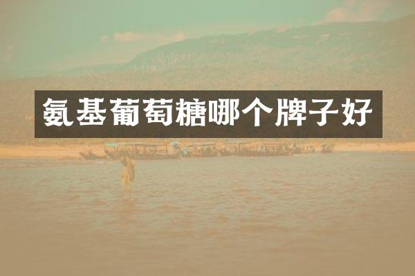 氨基葡萄糖哪个牌子好