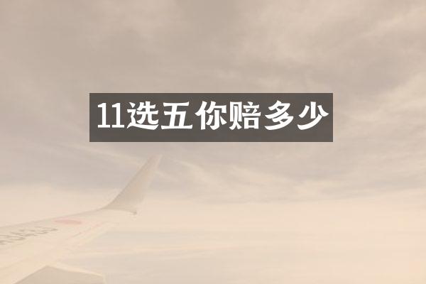 11选五你赔多少