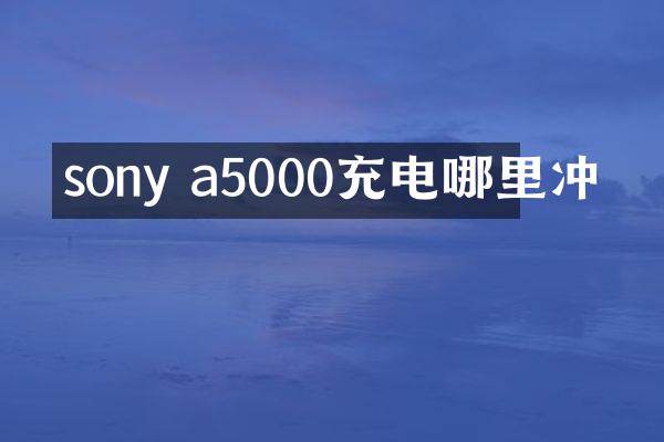 sony a5000充电哪里冲